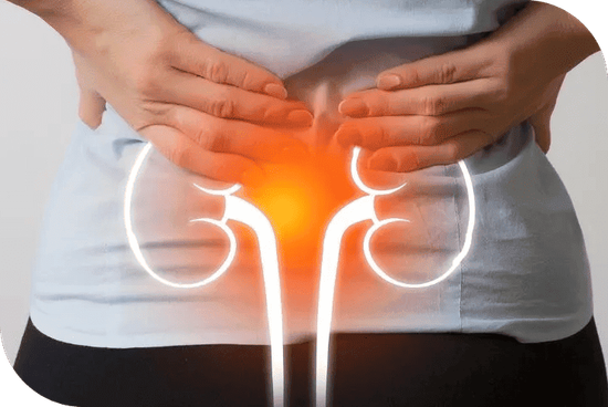 Imagen sobre Vejiga Hiperactiva y Urgencia Miccional